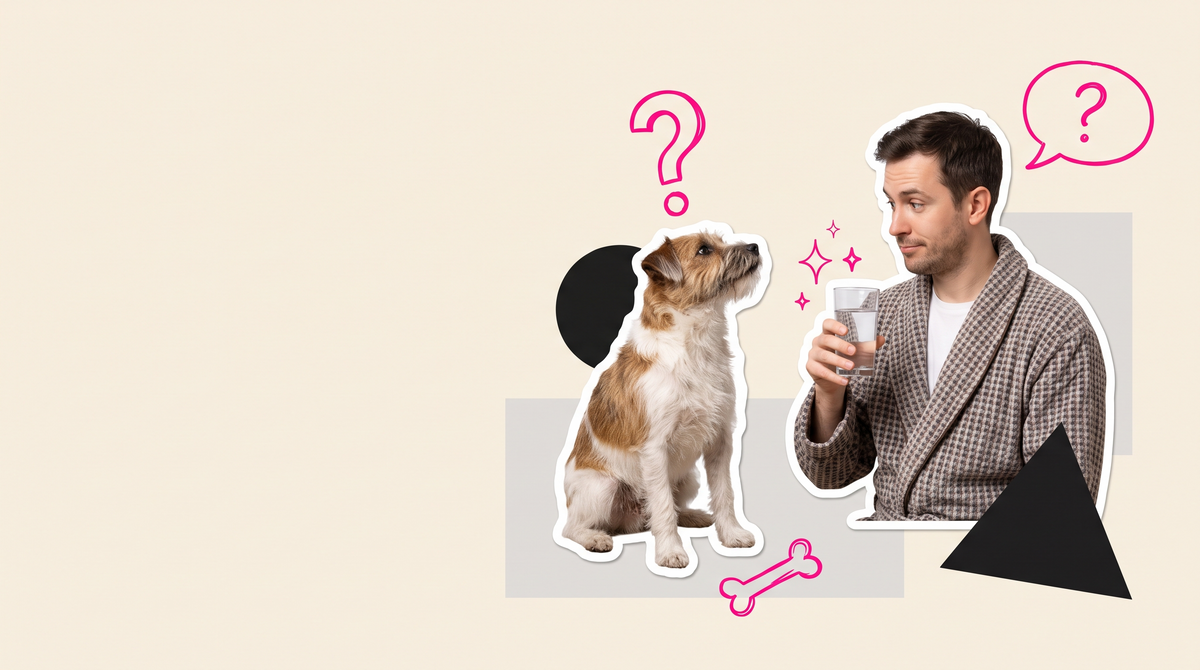 Collage of a scruffy terrier looking up at a man in a dressing gown holding a glass of water